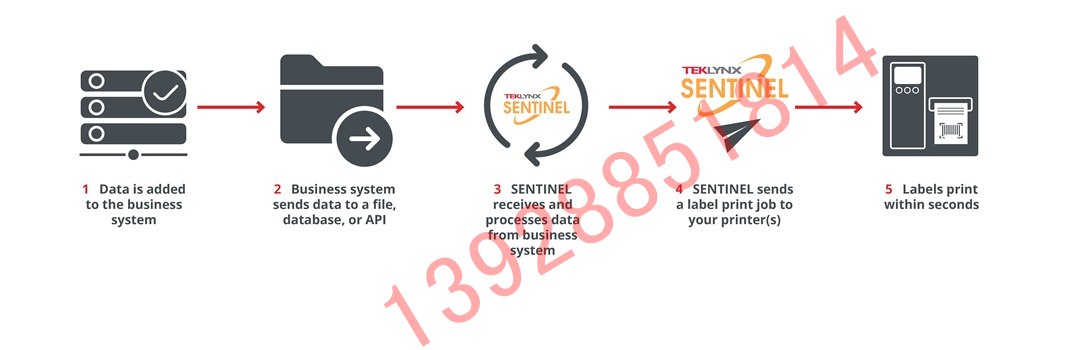 SENTINEL 打印自动化软件的工作原理